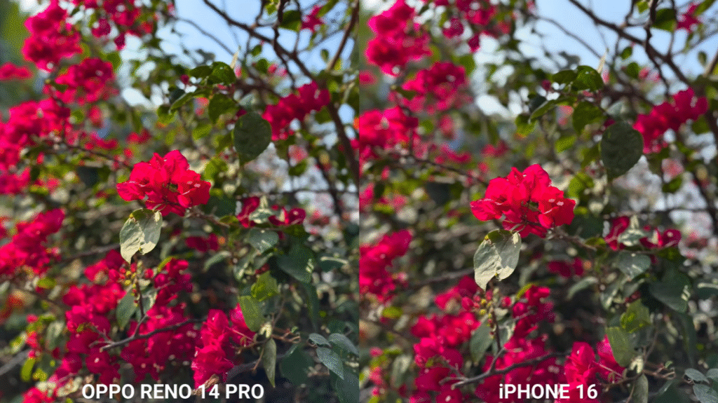 Oppo Reno 14 Pro Display And Camera