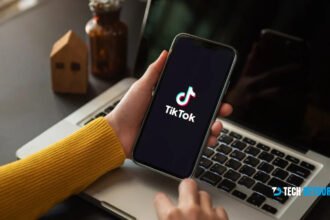 How Many TikTok videos By Pakistani Users Deleted In 3 Months?