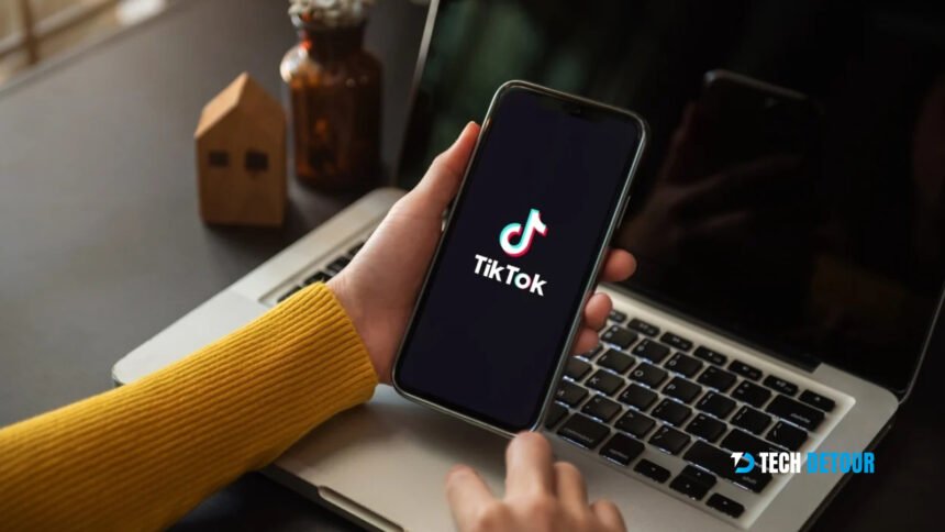 How Many TikTok videos By Pakistani Users Deleted In 3 Months?